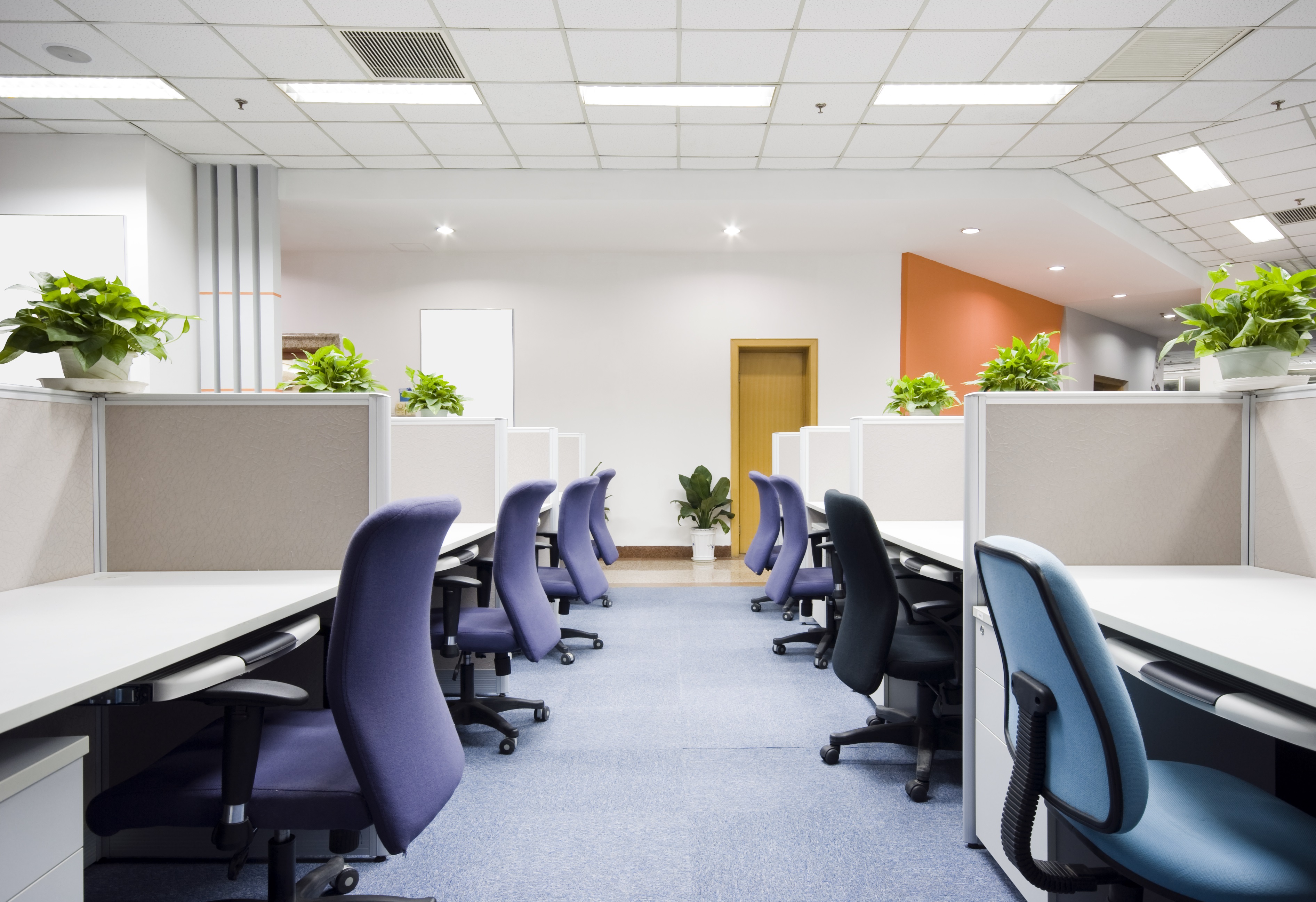 Office furnished with cubicles and computer chairs.