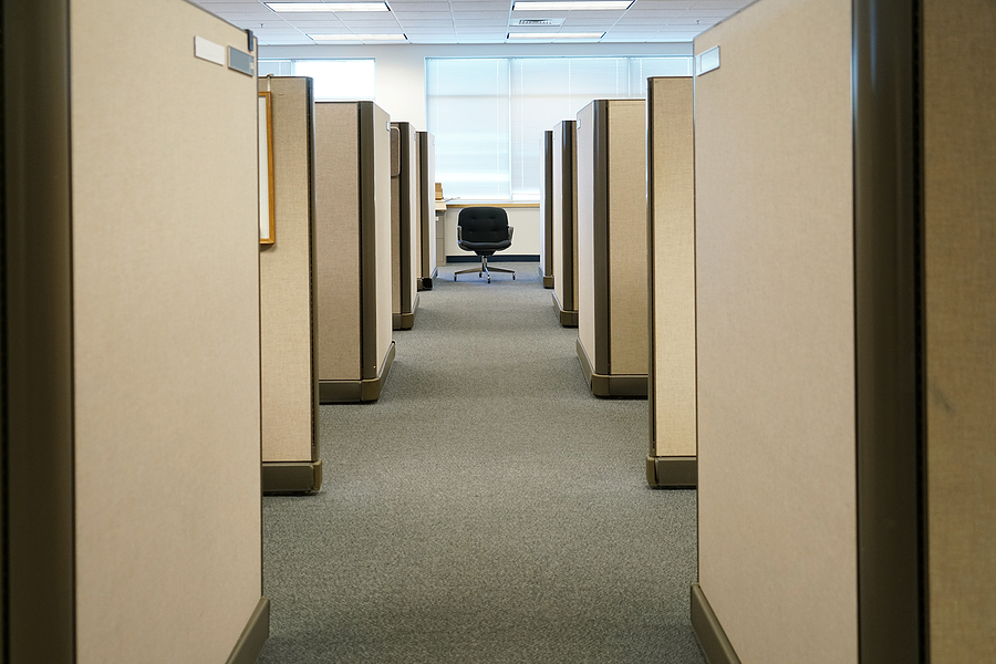 View of cubicles inside office building, place of work