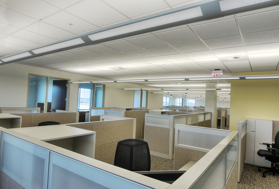 Cubicles in New Office Building
